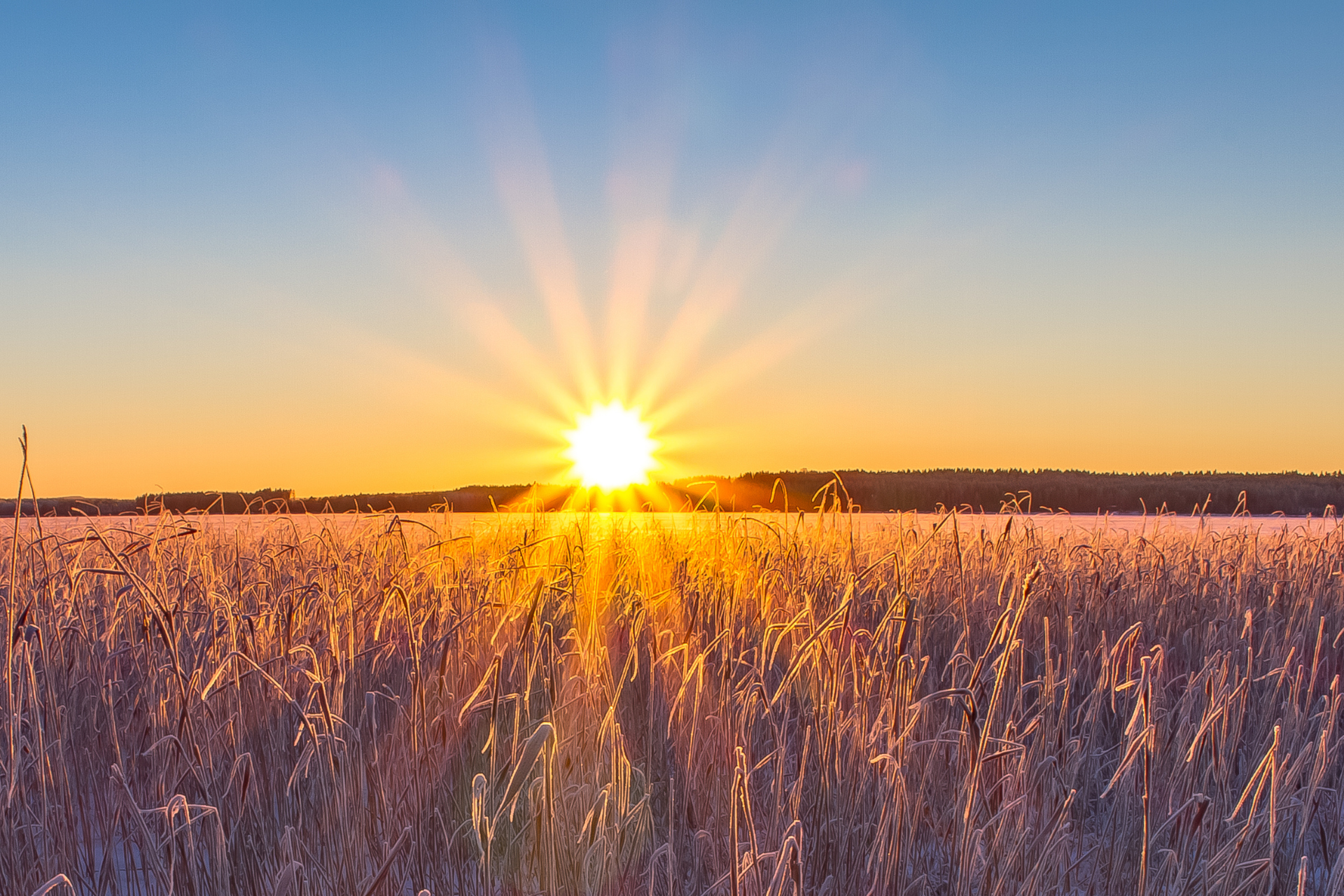 Les MBA et les écoles de commerce face à la révolution numérique