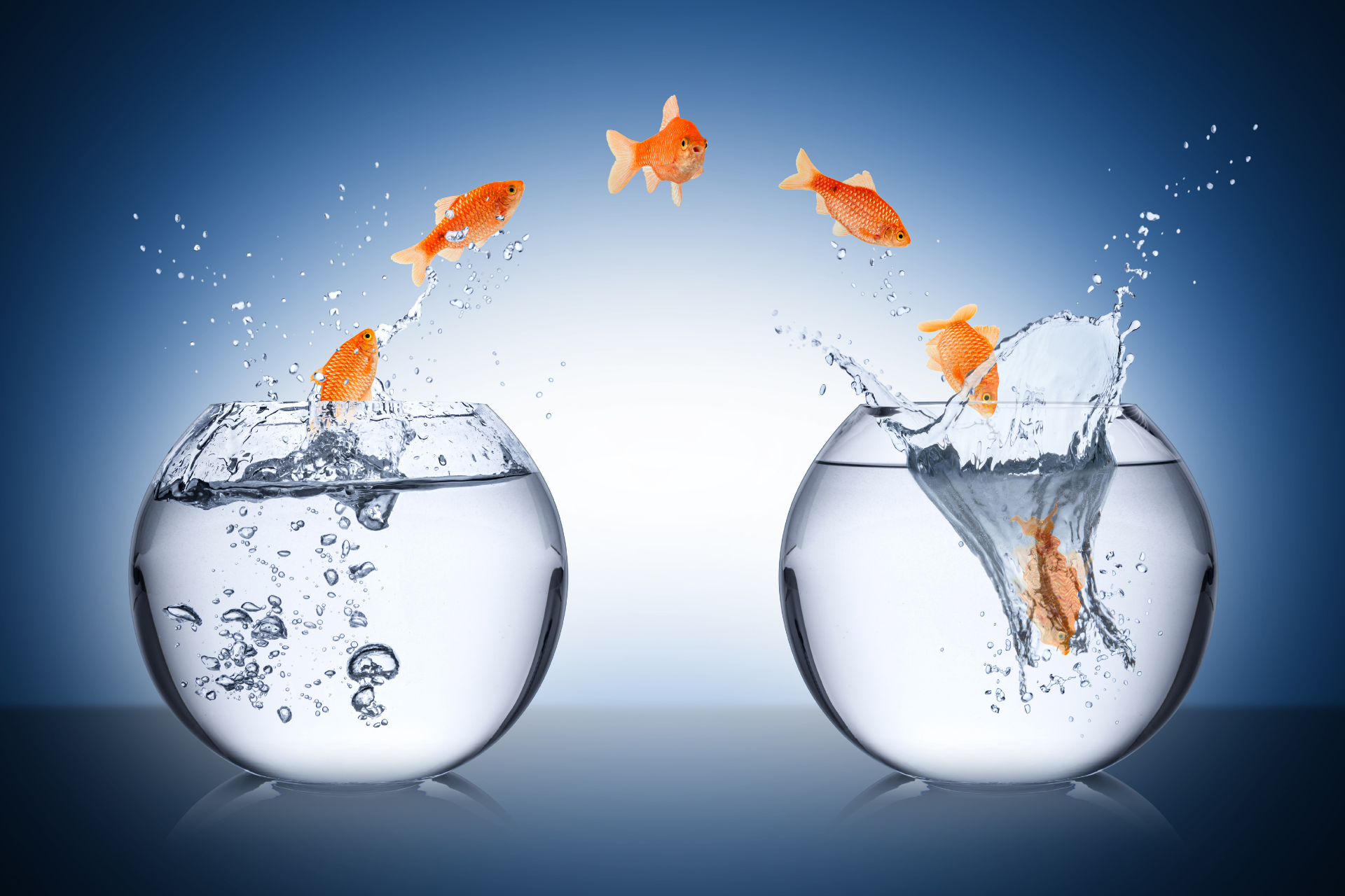 Évolution du travail et stratégies de recrutement